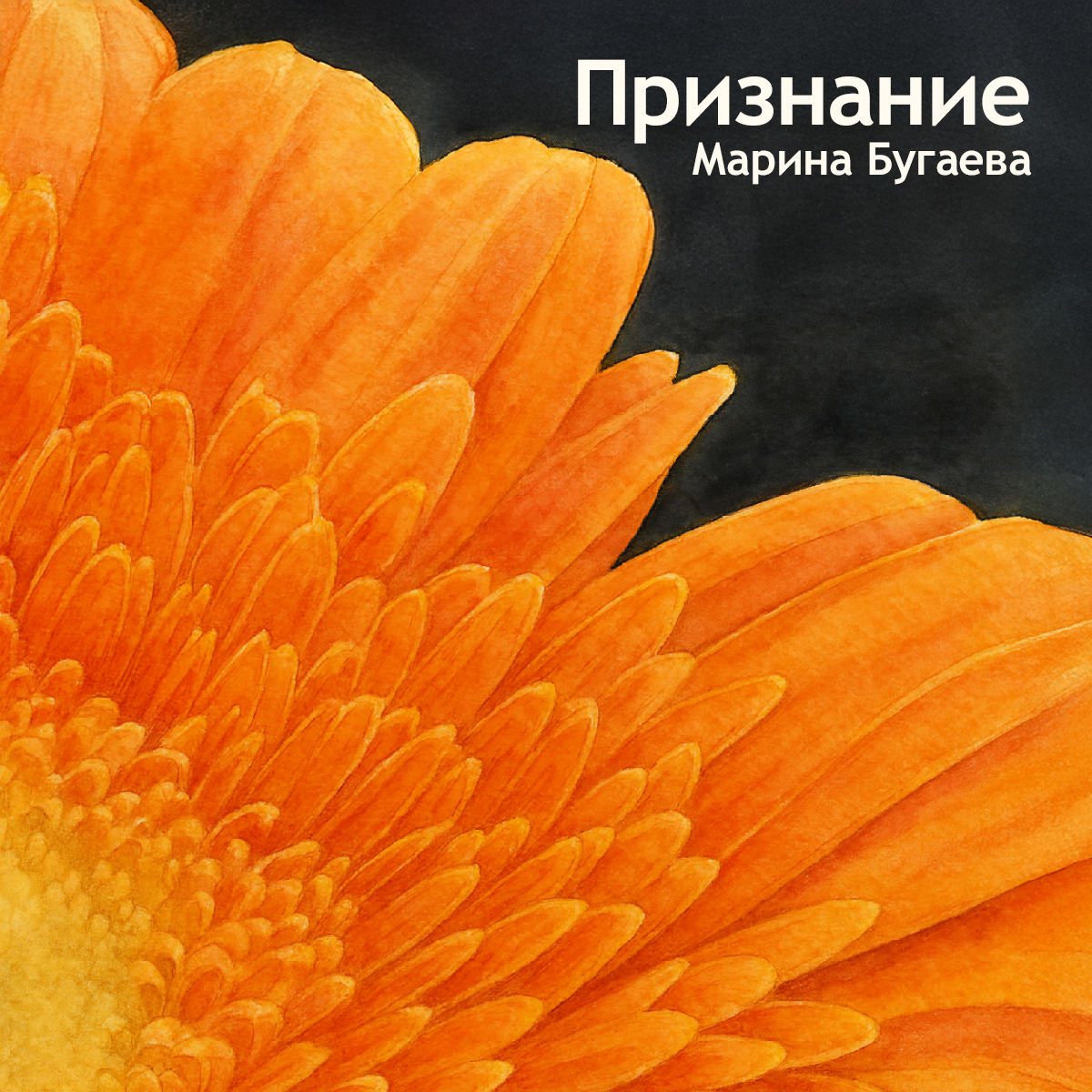 Обложка: «Признание»