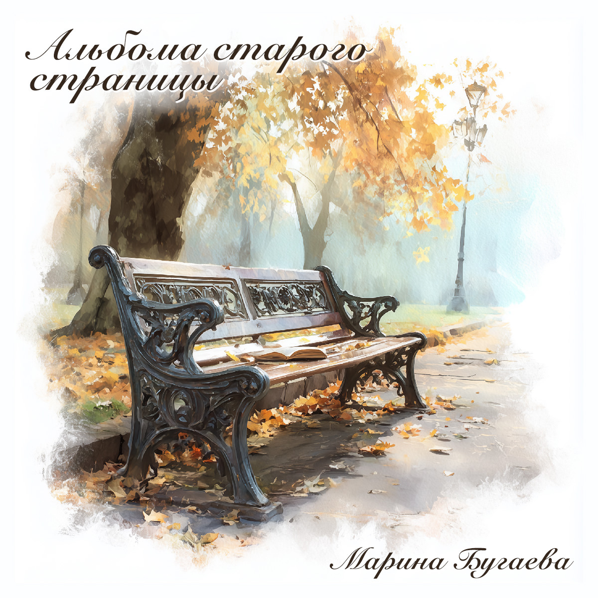 Обложка: «Альбома старого страницы»